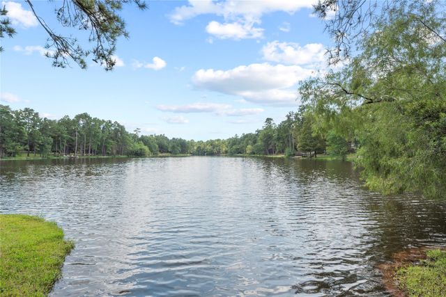 6702 W Bluff Drive, Magnolia, TX 77354