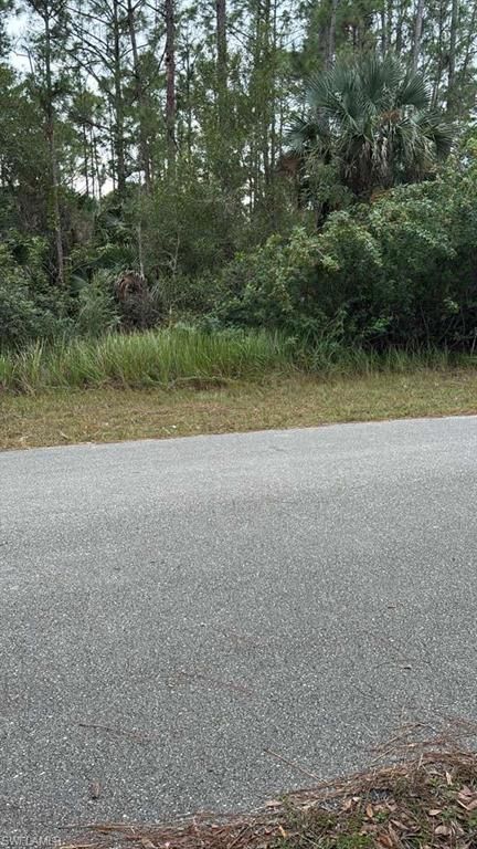 3207 48th ST W, LEHIGH ACRES, FL 33971 — photo 2