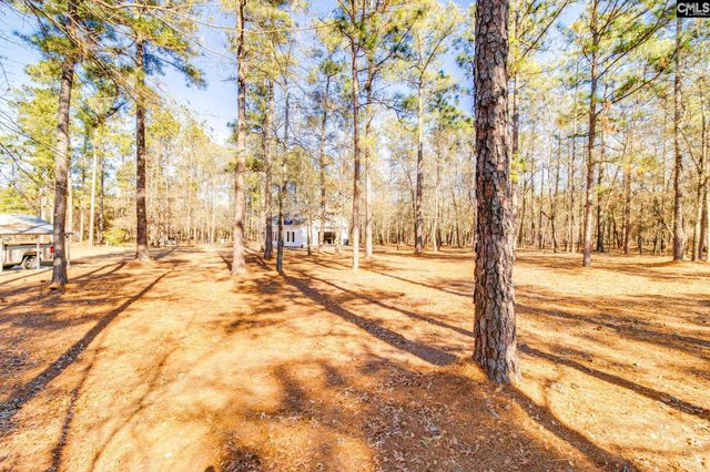 1335 Highway 21, Swansea, SC 29160