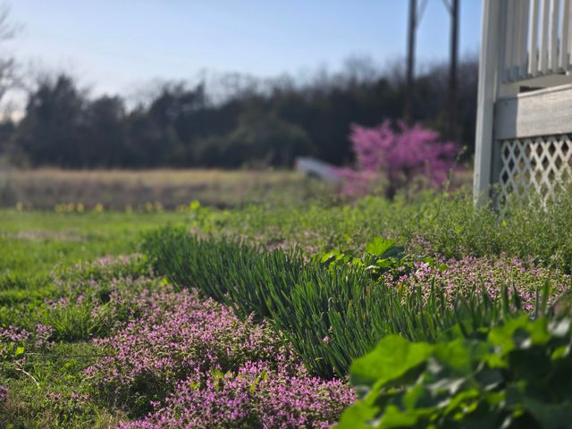 18877 E 1200 Road, Stockton, MO 65785