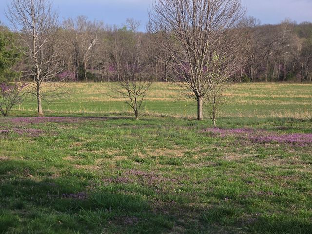 18877 E 1200 Road, Stockton, MO 65785