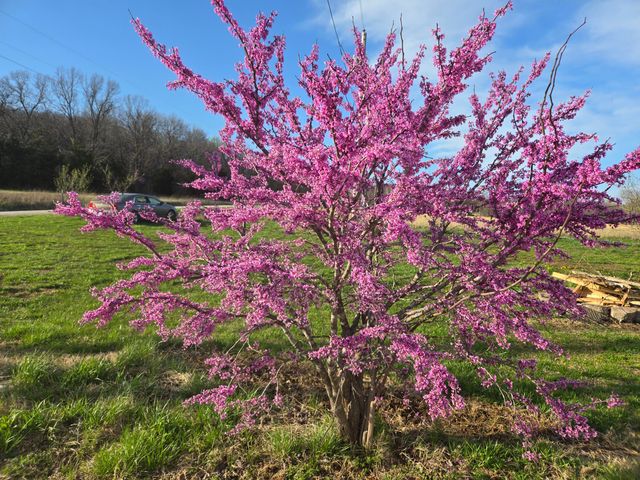 18877 E 1200 Road, Stockton, MO 65785