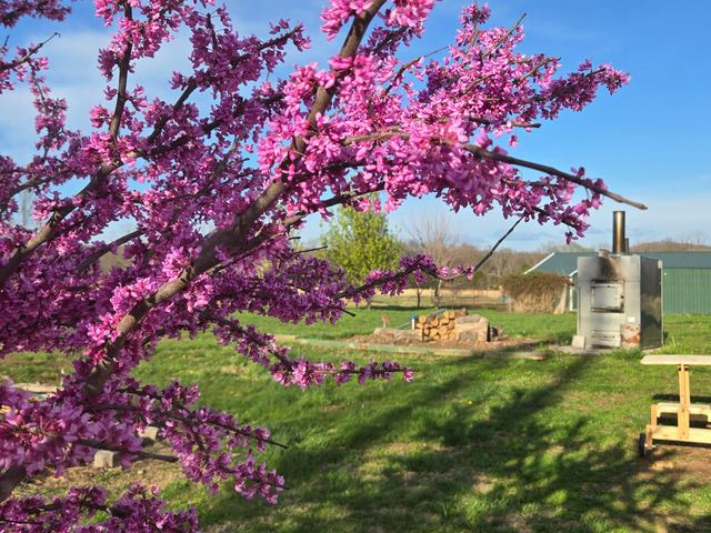 18877 E 1200 Road, Stockton, MO 65785