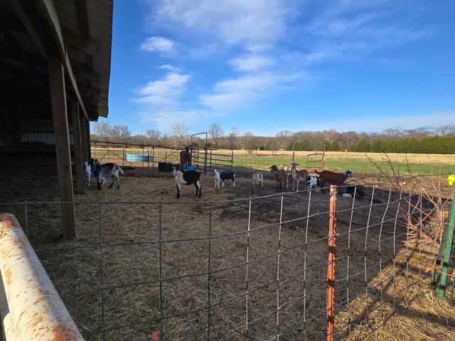 18877 E 1200 Road, Stockton, MO 65785