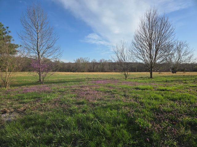 18877 E 1200 Road, Stockton, MO 65785