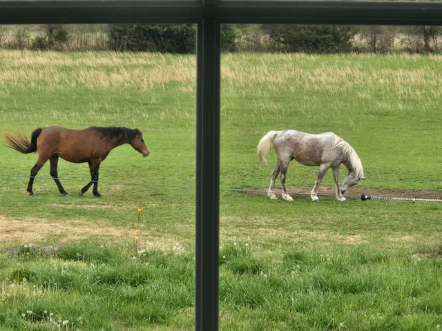 18877 E 1200 Road, Stockton, MO 65785