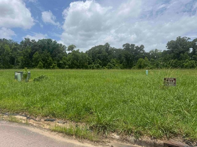 36112 Westin Ridge Dr, Geismar, LA 70734