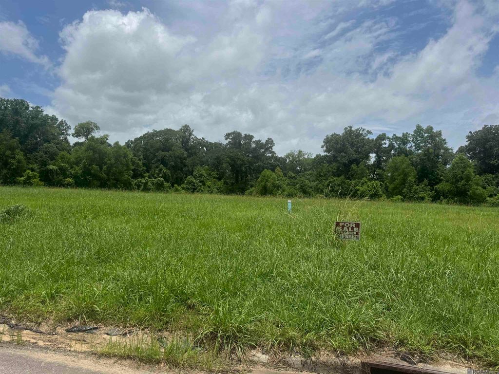 36112 Westin Ridge Dr, Geismar, LA 70734
