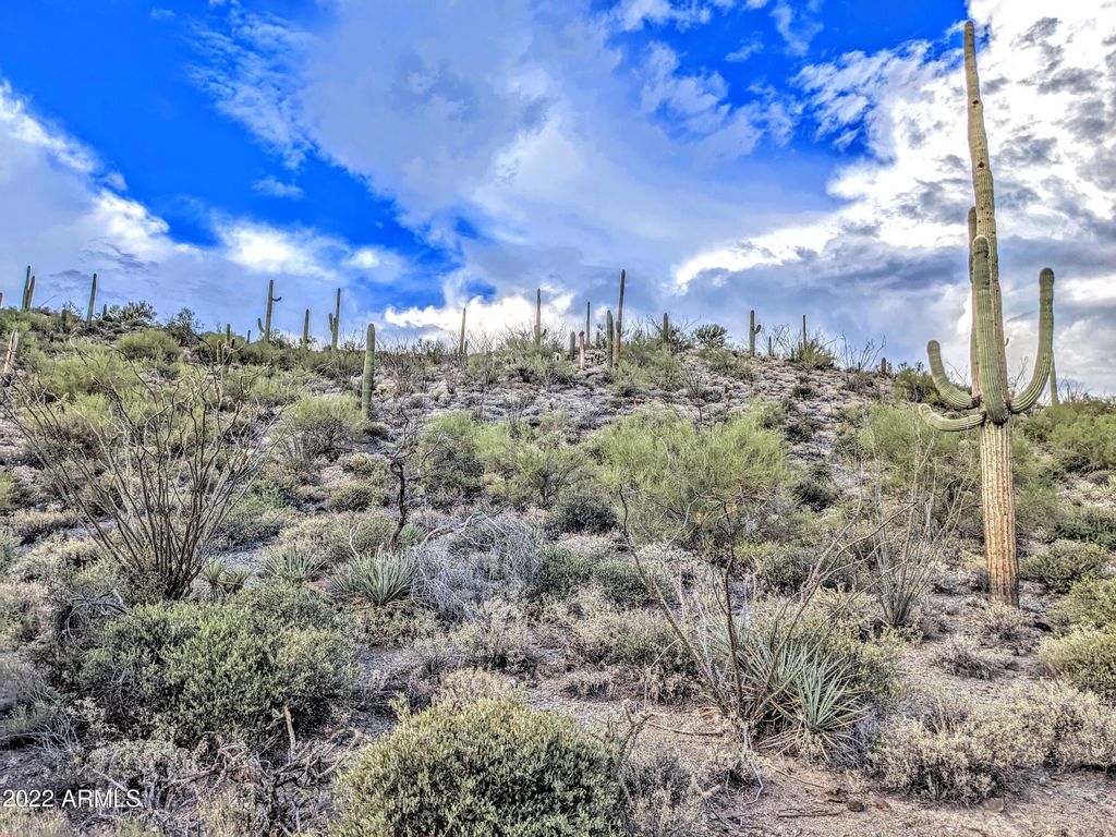 Image 9 of property listing at 9146 E Limousin Drive -, Scottsdale, AZ 85262