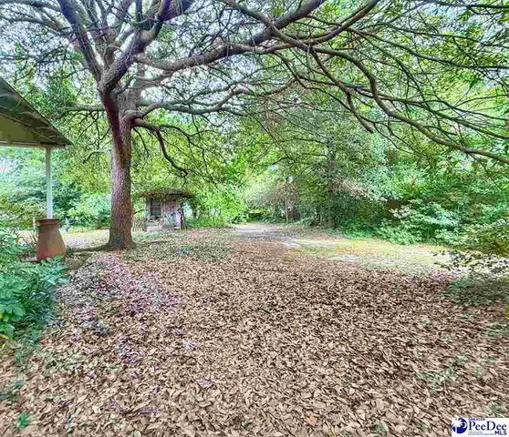 601 E Washington Street, Dillon, SC 29536