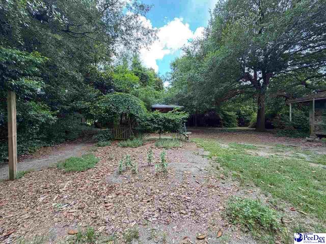 601 E Washington Street, Dillon, SC 29536
