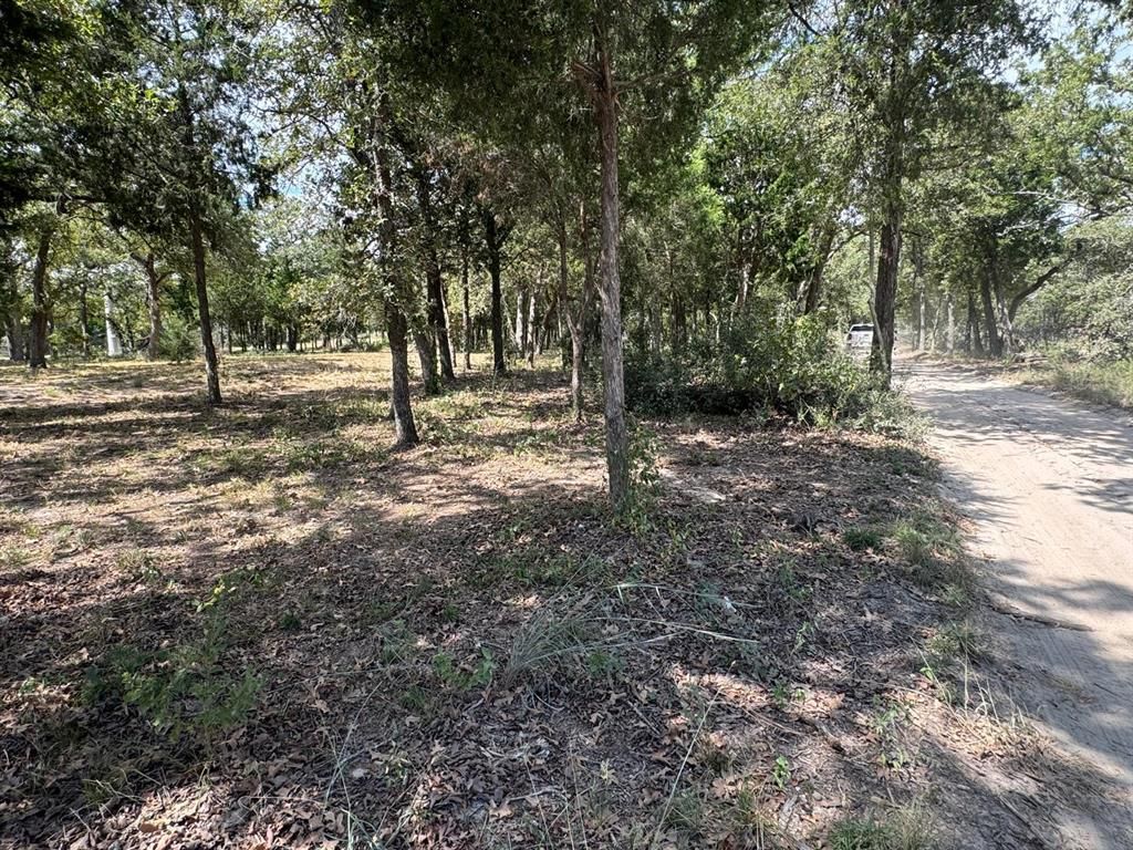 [Lot 2] 000 Jordan LN, Elgin, TX 78621