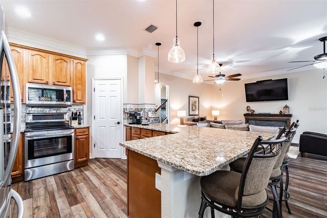539 TREVISO DRIVE, Apollo Beach, FL 33572