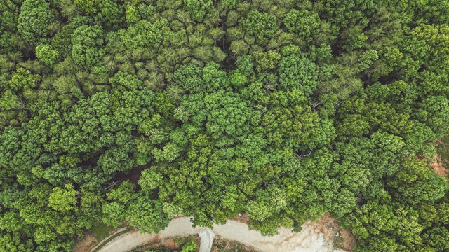 59 Twilight Pt, Monteagle, TN 37356