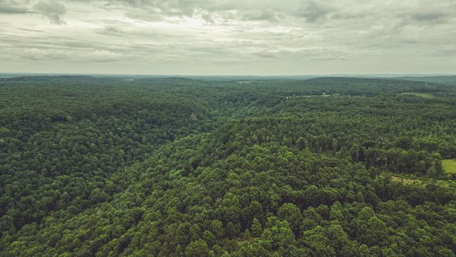 59 Twilight Pt, Monteagle, TN 37356