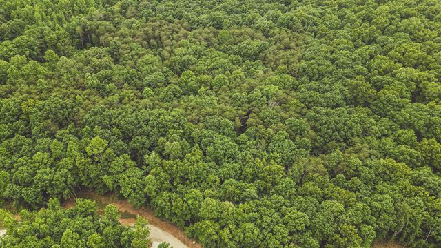 59 Twilight Pt, Monteagle, TN 37356