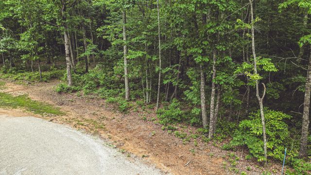 59 Twilight Pt, Monteagle, TN 37356