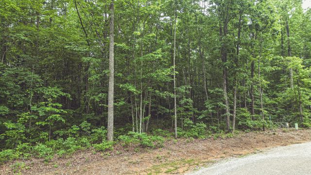 59 Twilight Pt, Monteagle, TN 37356