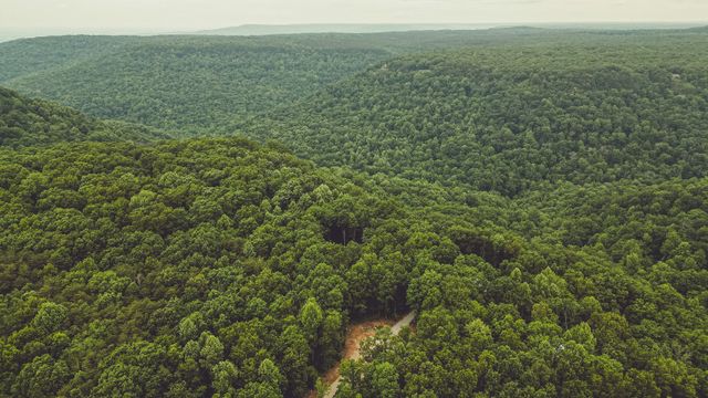 59 Twilight Pt, Monteagle, TN 37356