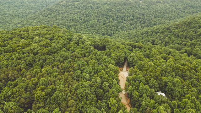 59 Twilight Pt, Monteagle, TN 37356