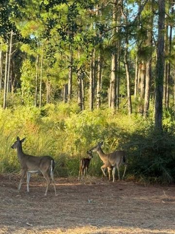 424 N Church Street Street, Santa Rosa Beach, FL 32459