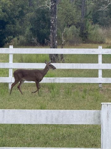 424 N Church Street Street, Santa Rosa Beach, FL 32459