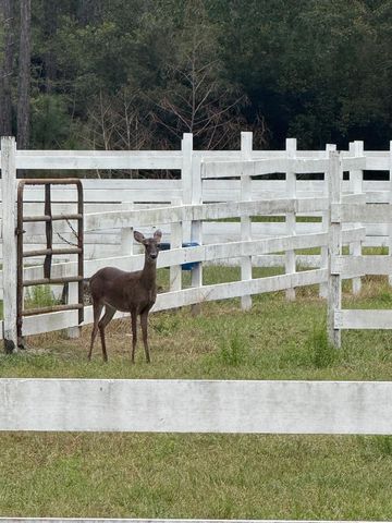 424 N Church Street Street, Santa Rosa Beach, FL 32459