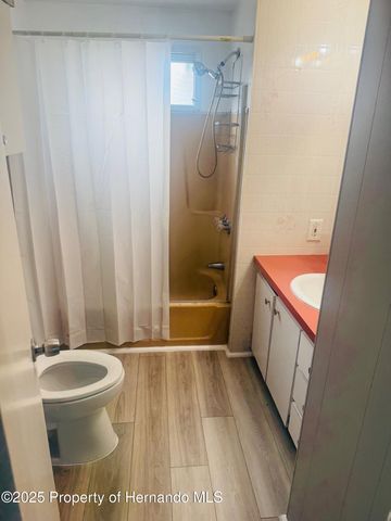 7169 Fairlane Avenue, Brooksville, FL 34613