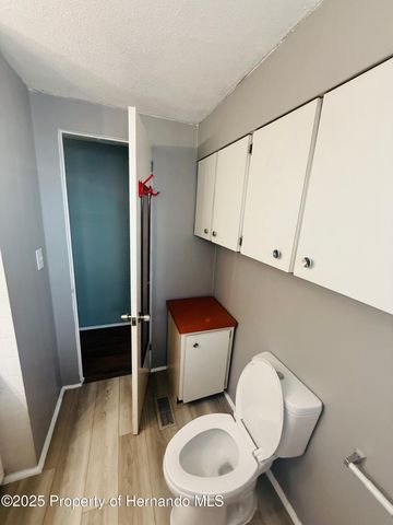 7169 Fairlane Avenue, Brooksville, FL 34613