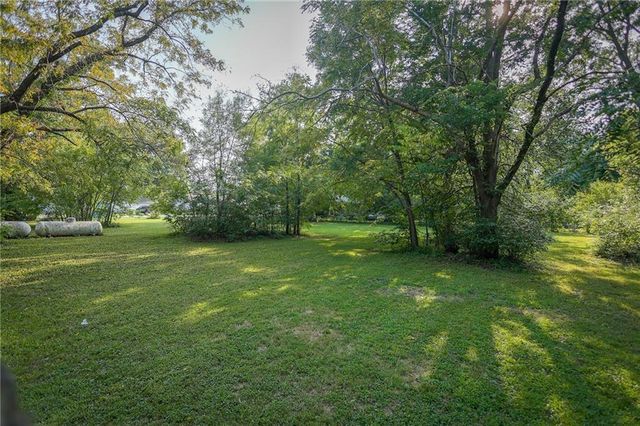 100 W Hortense Street, Orrick, MO 64077