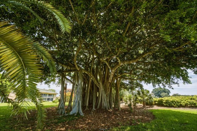 10720 Ave Of The Pga, Palm Beach Gardens, FL 33418