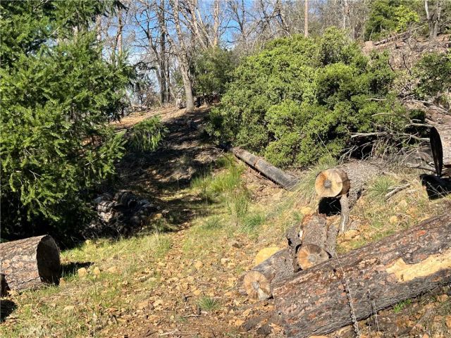 9457 Fox, Cobb, CA 95426