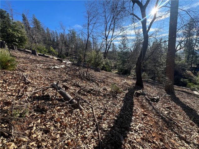 9457 Fox, Cobb, CA 95426