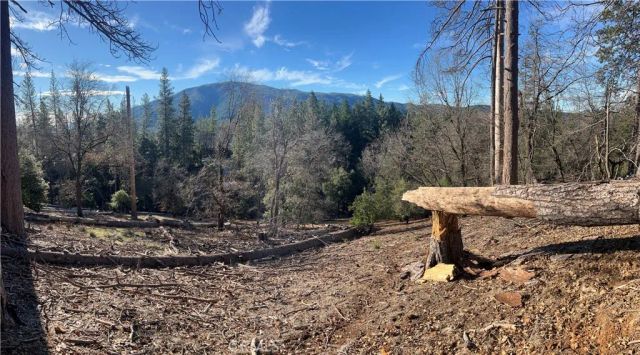 9457 Fox, Cobb, CA 95426