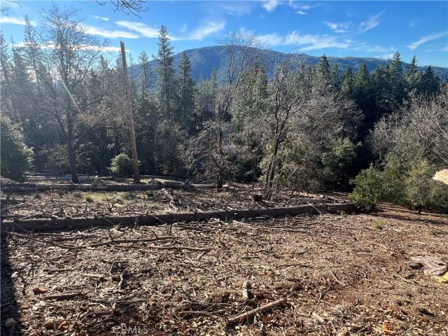 9457 Fox, Cobb, CA 95426