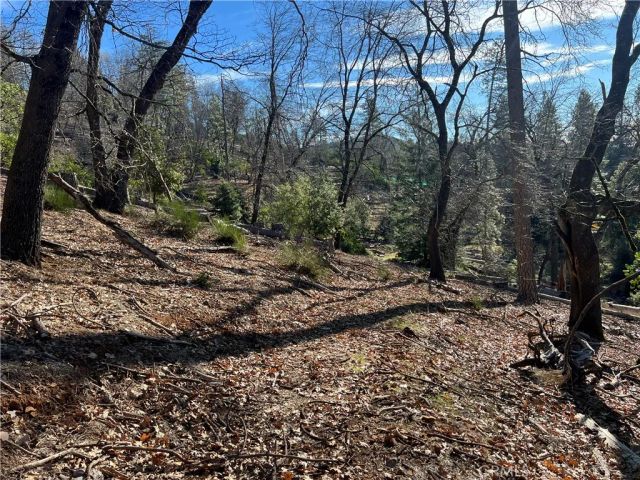 9457 Fox, Cobb, CA 95426