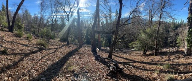 9457 Fox, Cobb, CA 95426