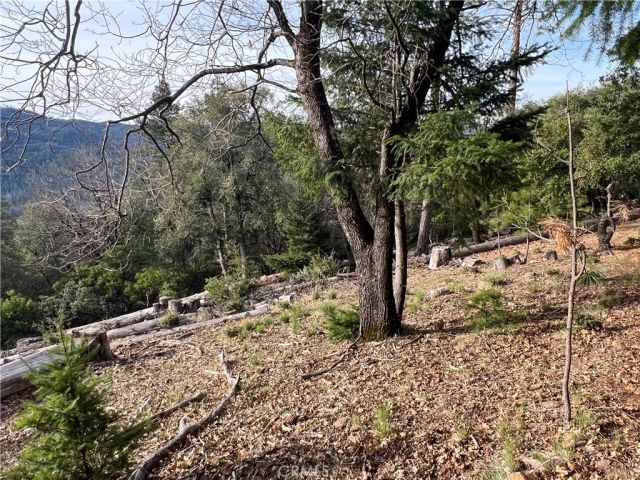 9457 Fox, Cobb, CA 95426