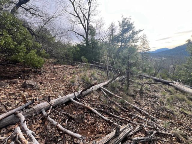 9457 Fox, Cobb, CA 95426