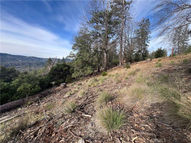 9457 Fox, Cobb, CA 95426