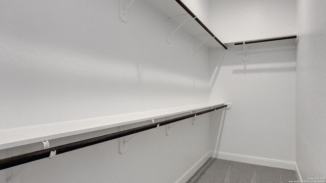 10040 Forelock Creek, San Antonio, TX 78254