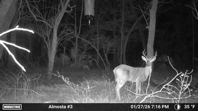 15239 Battle Road, Beasley, TX 77417