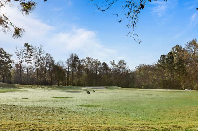 5226 New Palm Court, Summerville, SC 29485