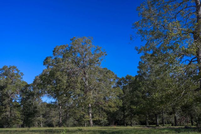 Lot 5 Block 3 Olde Homestead Lane Road, Willis, TX 77378