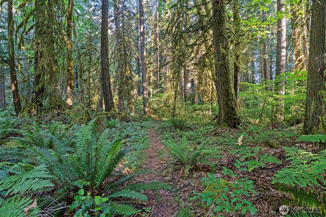 1052 E Mason Lake Drive W, Grapeview, WA 98546