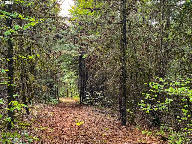 45045 Nw ELK MOUNTAIN Rd, Banks, OR 97106