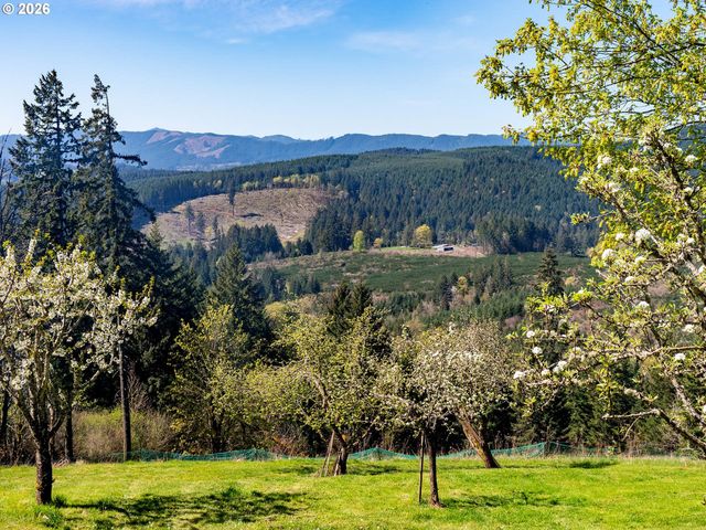 45045 Nw ELK MOUNTAIN Rd, Banks, OR 97106