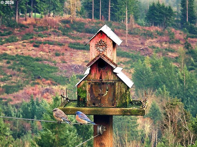45045 Nw ELK MOUNTAIN Rd, Banks, OR 97106