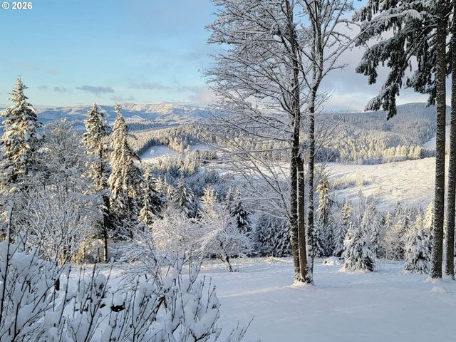 45045 Nw ELK MOUNTAIN Rd, Banks, OR 97106
