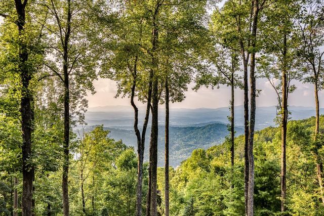 1447 Grandeur Drive, Blue Ridge, GA 30513